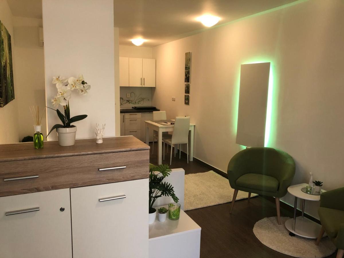 Apartamento Luxury Central Studio Under The Castle Liubliana Exterior foto