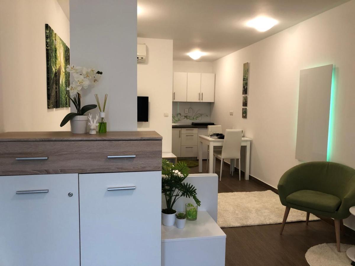 Apartamento Luxury Central Studio Under The Castle Liubliana Exterior foto
